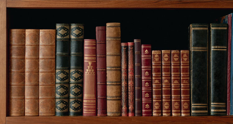 Antique Book Shelf